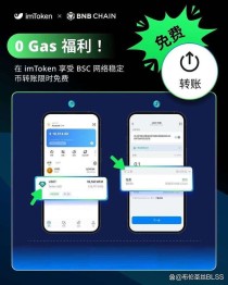 新手必看！IMToken钱包官网下载、安装及创建流程全解析