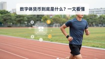 数字体货币到底是什么？一文看懂