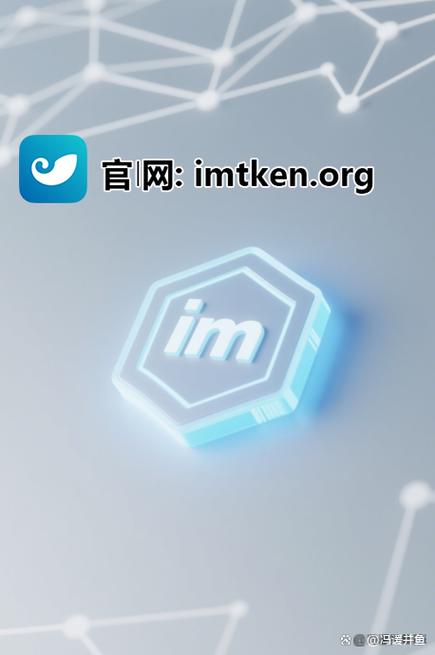 IM钱包:理财爱好者的得力助手,多链管理与预算规划超实用