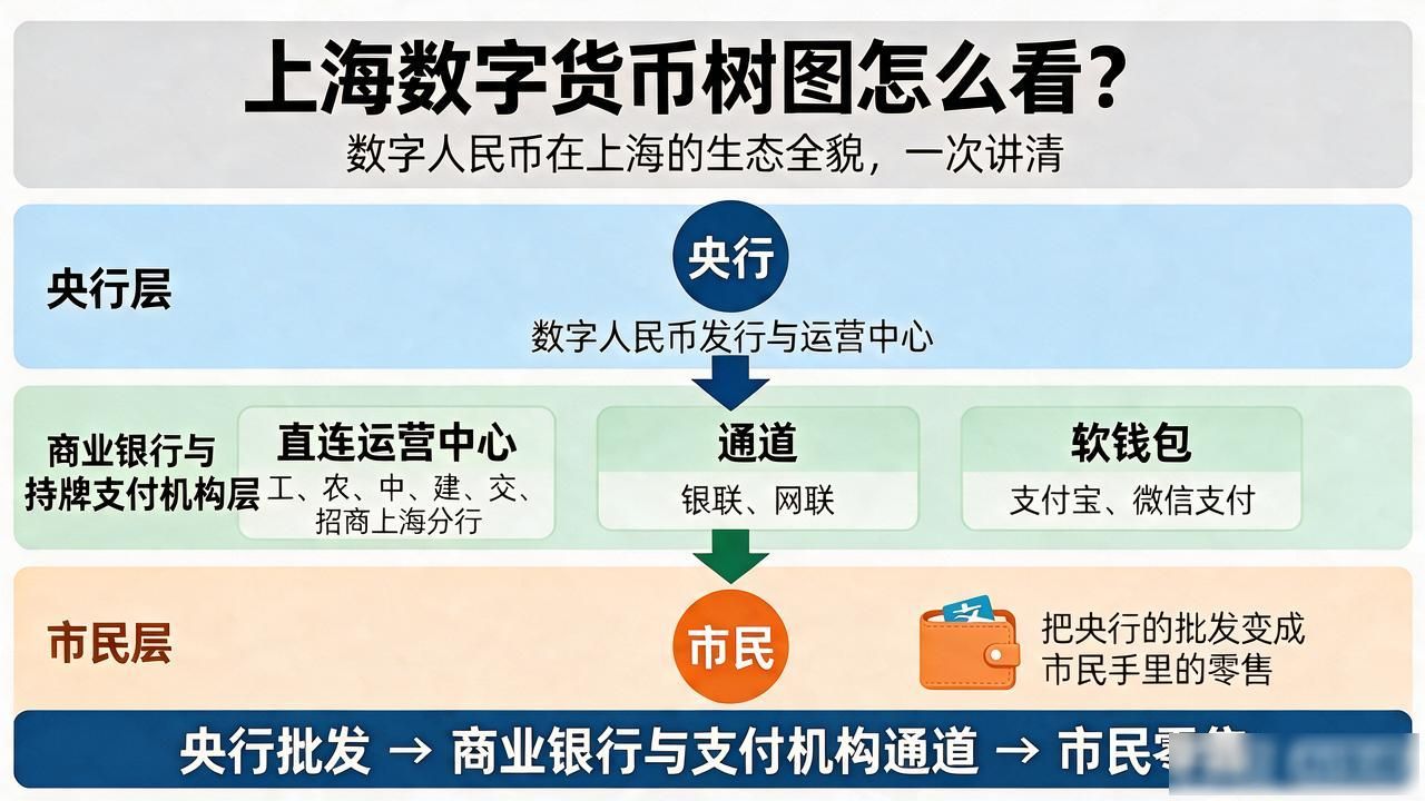 上海数字货币树图怎么看?数字人民币在上海的生态全貌,一次讲清